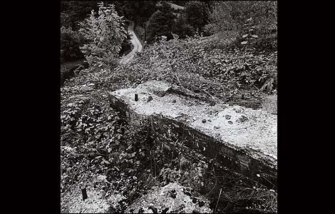 Overgrown lime crusher, Cockshutford, Brown Clee Picture by Simon Denison