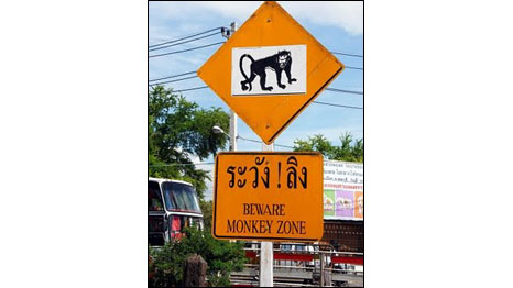 Foto: Michele Martin/Divulgação/Signspotting.com