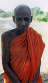 Buddhist monk in Sri Lanka wearing orange robe