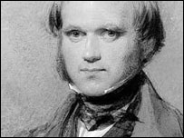 डार्विन