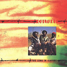 Review of Too Long in Slavery