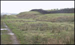 View of the Roman Wall from Birdoswald