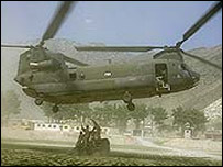 طالبان د نړيوالو ځواکونو په بمباريو کې وژل شوي