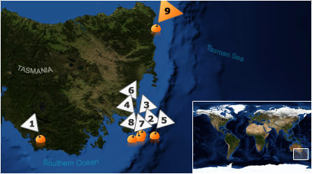 Dive map - Southern Ocean - Site 9