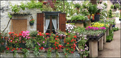 مراقبت گلها 