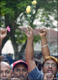 Những người biểu tình mang theo hoa hồng để tỏ ý họ đòi hỏi một cách hòa bình.