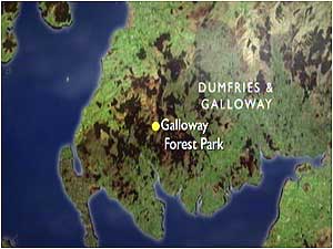 Galloway Forest (Image: Map)