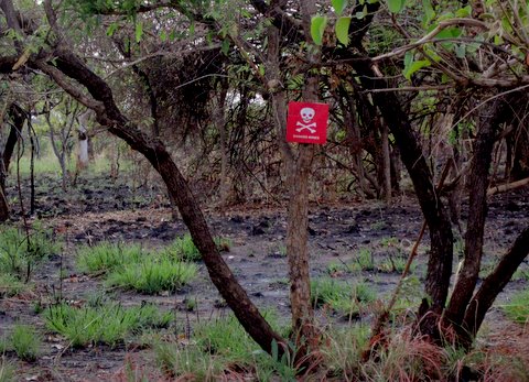 The fins of a rocket-propelled grenade, a rocket<br />
shaft and a large brass shell casing