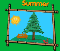 Summer evergreen tree