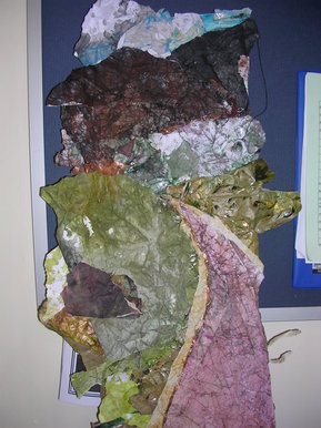 Landscape in progress