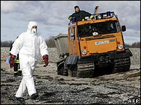 Bombeiros procuram aves mortas na ilha alemã de Ruegen