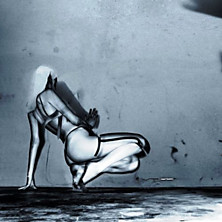 Review of Where Did the Night Fall Review of Where Did the Night Fall