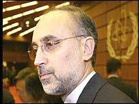 علی اکبر صالحی نماينده ايران در آژانس بين المللی 