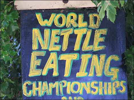 World Nettle Eating Championships