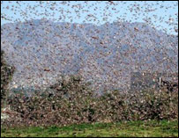 بحراني حالت