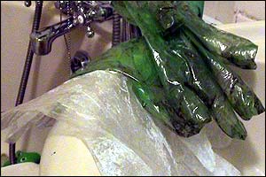 image: gloves and sink