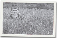 Tudur Eifion, mab ieuengaf y Gwindy yn sefyll ynghanol yr ŷd.