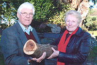 Roy Bendrey yn cyflwyno darn o'r ywen i Neli Jones, cadeirydd y Pwyllgor Gwaith