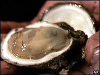 An oyster