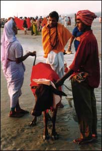 गंगासागर में तीर्थयात्री