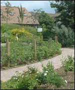 View of Ryton Organic Garden 