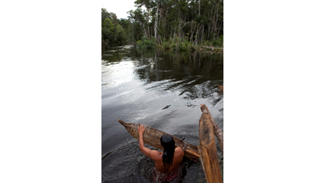 Foto de Daniel Beltrá, cortesia, The Prince’s Rainforests Project and Sony