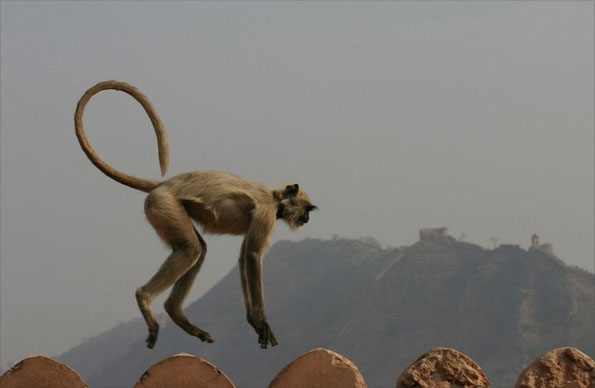 Your pictures of balance