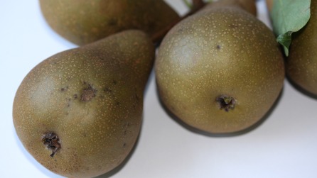Nice Pears