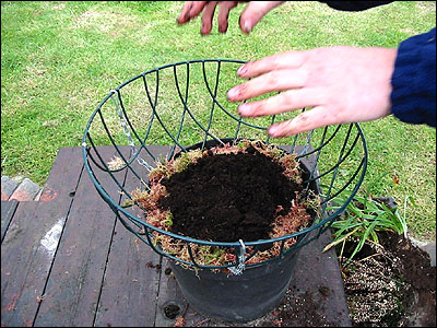 Step by step guide to making a hanging basket