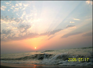 عکس از وحيد صفی نيا