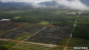 Land being cleared in Indonesia