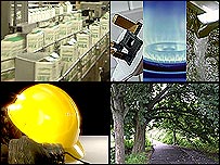 Dairy, Utilities, Safety and Trees