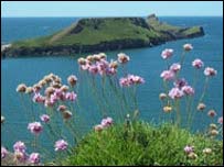 威尔士高尔半岛