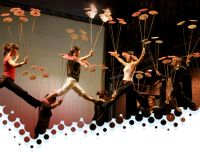 Gallery: Monkey Practice