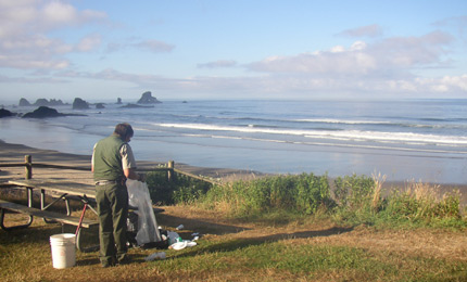 Rubbish at the beach.