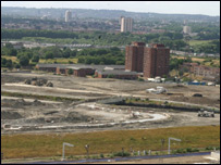 伦敦奥运主会场工地有不少野猫