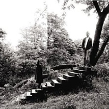 Review of Timber Timbre Review of Timber Timbre