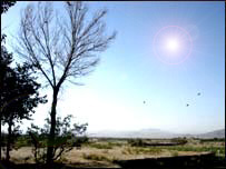 ونې او مارغان