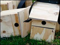 Nest boxes