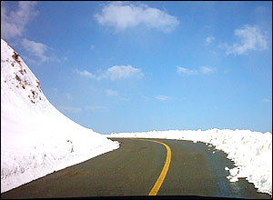 بهزاد مرادی