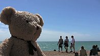At the Seaside