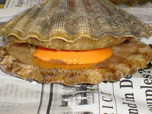 It came from the deep...