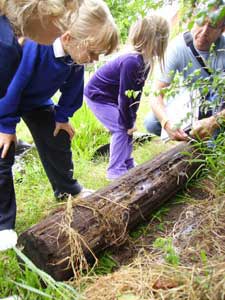 The Dell Nursery School, Lowestoft