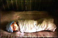 چوره شوی ماشوم