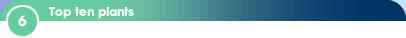 6 - Top ten plants