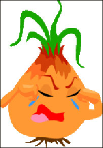 خورجين بنجاره