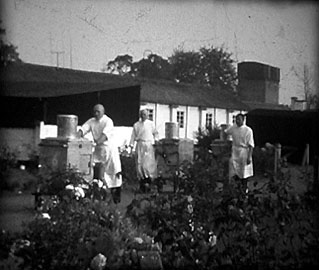 Food trolleys on their way to the wards at Penley