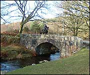 Horse and rider on a bridge
