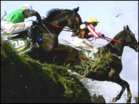 Horses jumping fences