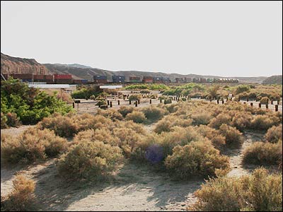 عبور قطار باری از تنگه افتون در منطقه محافظت شده ملی موهاوی در کالیفرنیا